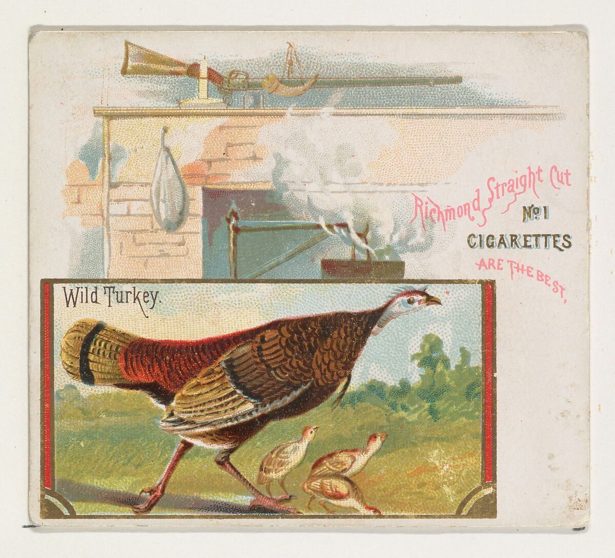 Wild Turkey, from the Game Birds series (N40) for Allen & Ginter Cigarettes, Issued by Allen &amp; Ginter (American, Richmond, Virginia), Commercial color lithograph 