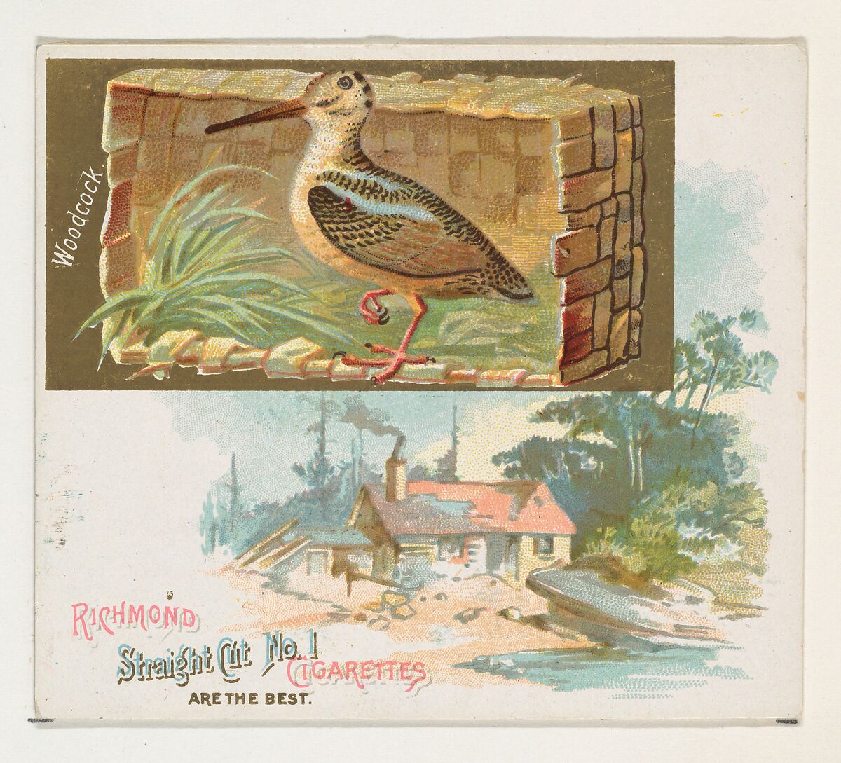 Woodcock, from the Game Birds series (N40) for Allen & Ginter Cigarettes, Issued by Allen &amp; Ginter (American, Richmond, Virginia), Commercial color lithograph 
