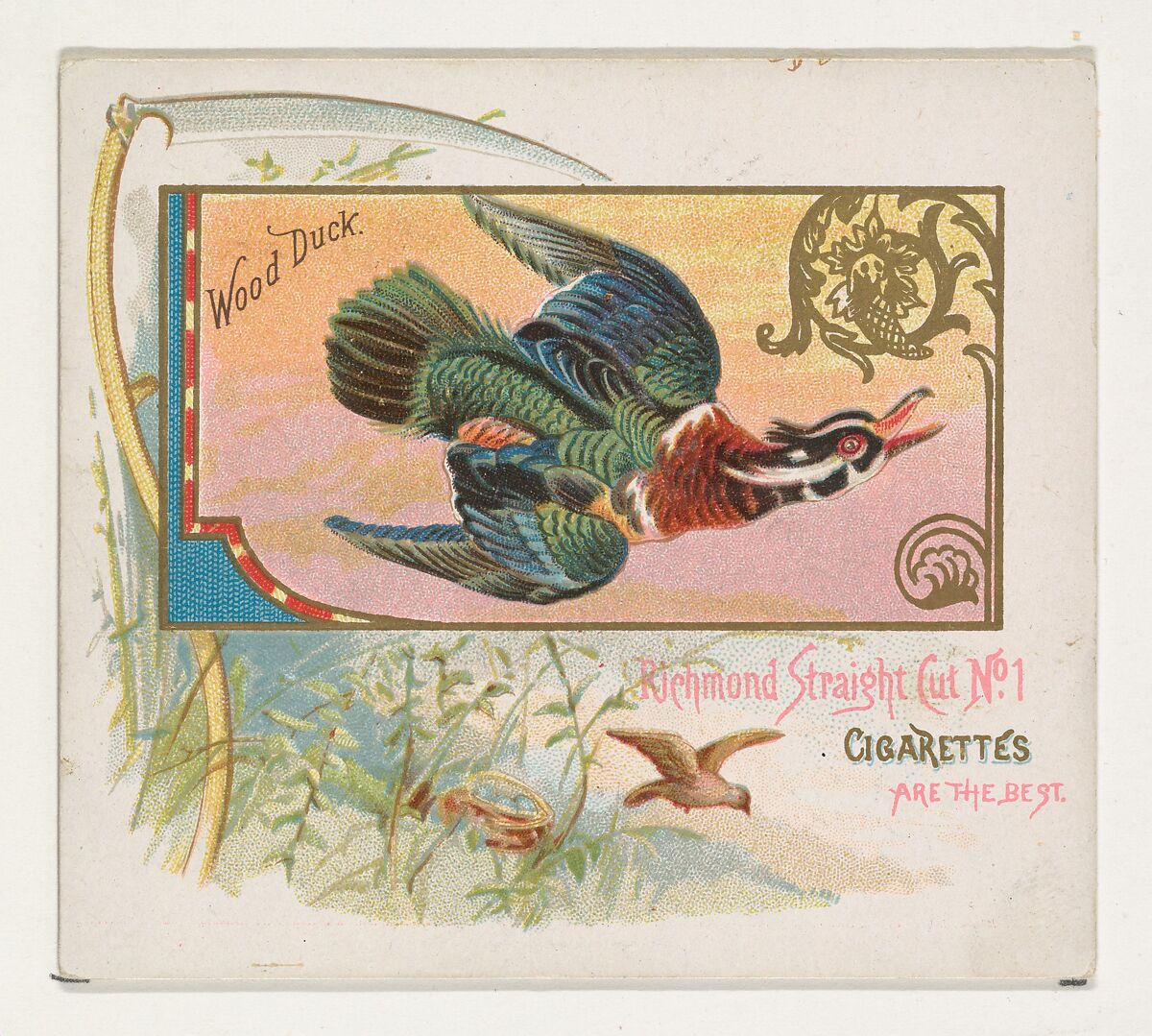 Wood Duck, from the Game Birds series (N40) for Allen & Ginter Cigarettes, Issued by Allen &amp; Ginter (American, Richmond, Virginia), Commercial color lithograph 