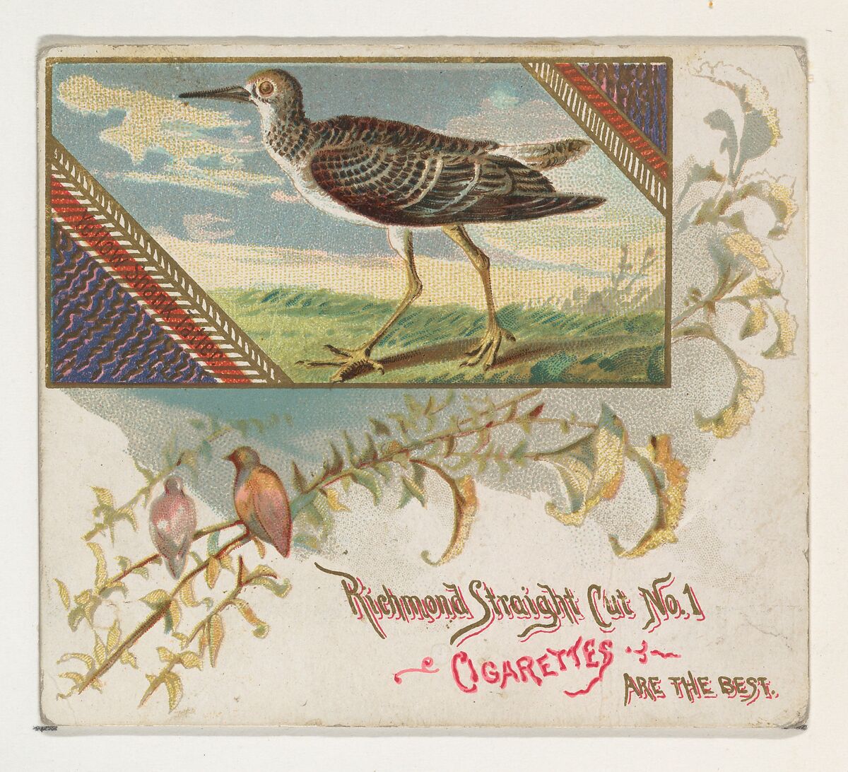 Yellow Shank Tatler, from the Game Birds series (N40) for Allen & Ginter Cigarettes, Issued by Allen &amp; Ginter (American, Richmond, Virginia), Commercial color lithograph 