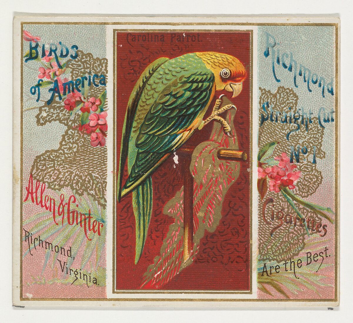 Carolina Parrot, from the Birds of America series (N37) for Allen & Ginter Cigarettes, Issued by Allen &amp; Ginter (American, Richmond, Virginia), Commercial color lithograph 