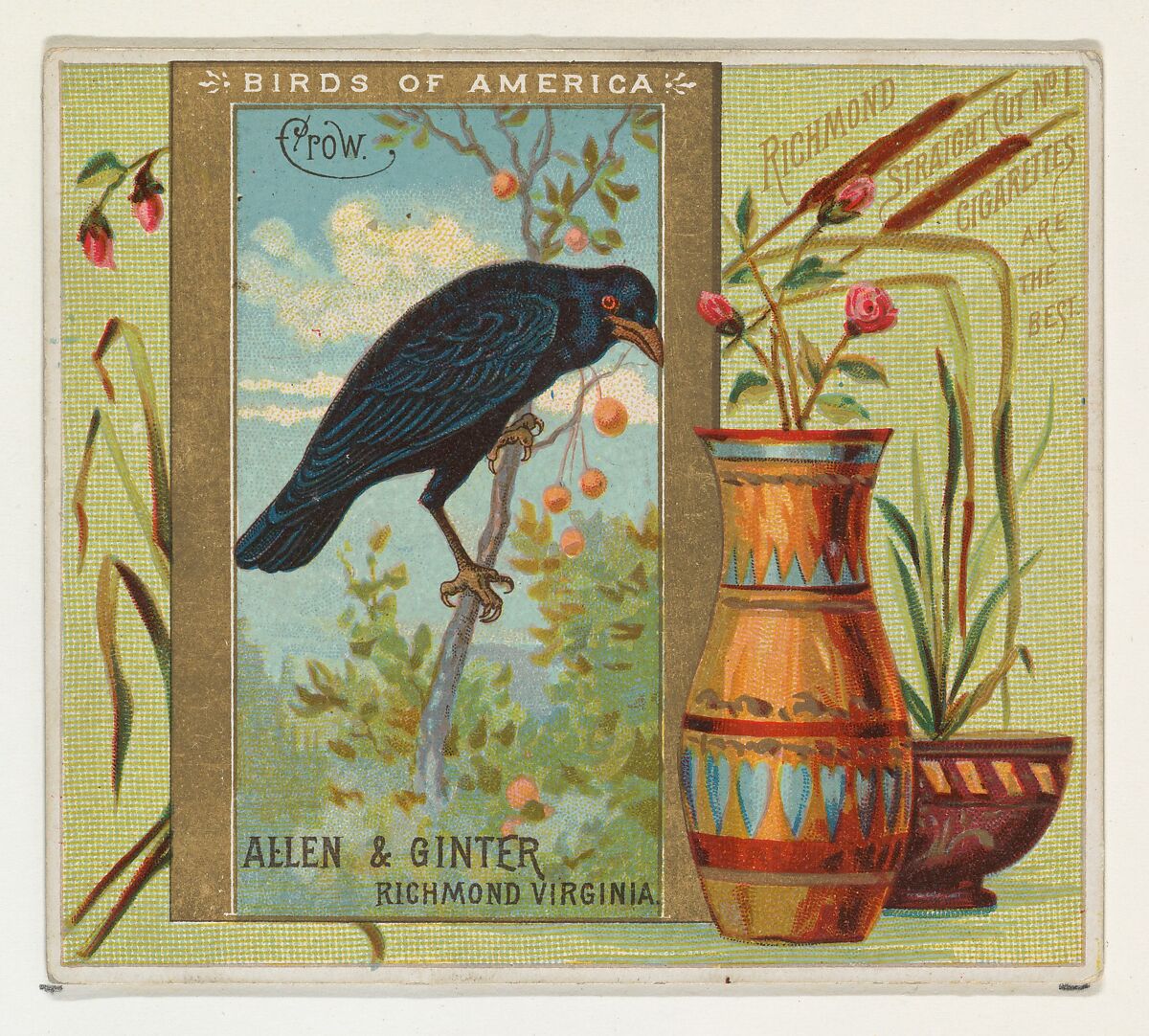 Crow, from the Birds of America series (N37) for Allen & Ginter Cigarettes, Issued by Allen &amp; Ginter (American, Richmond, Virginia), Commercial color lithograph 