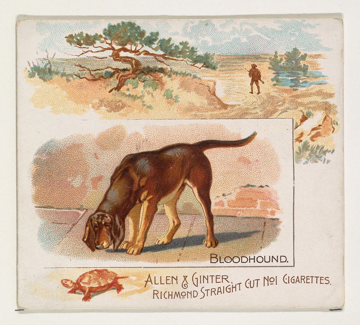 Bloodhound, from Quadrupeds series (N41) for Allen & Ginter Cigarettes, Issued by Allen &amp; Ginter (American, Richmond, Virginia), Commercial color lithograph 