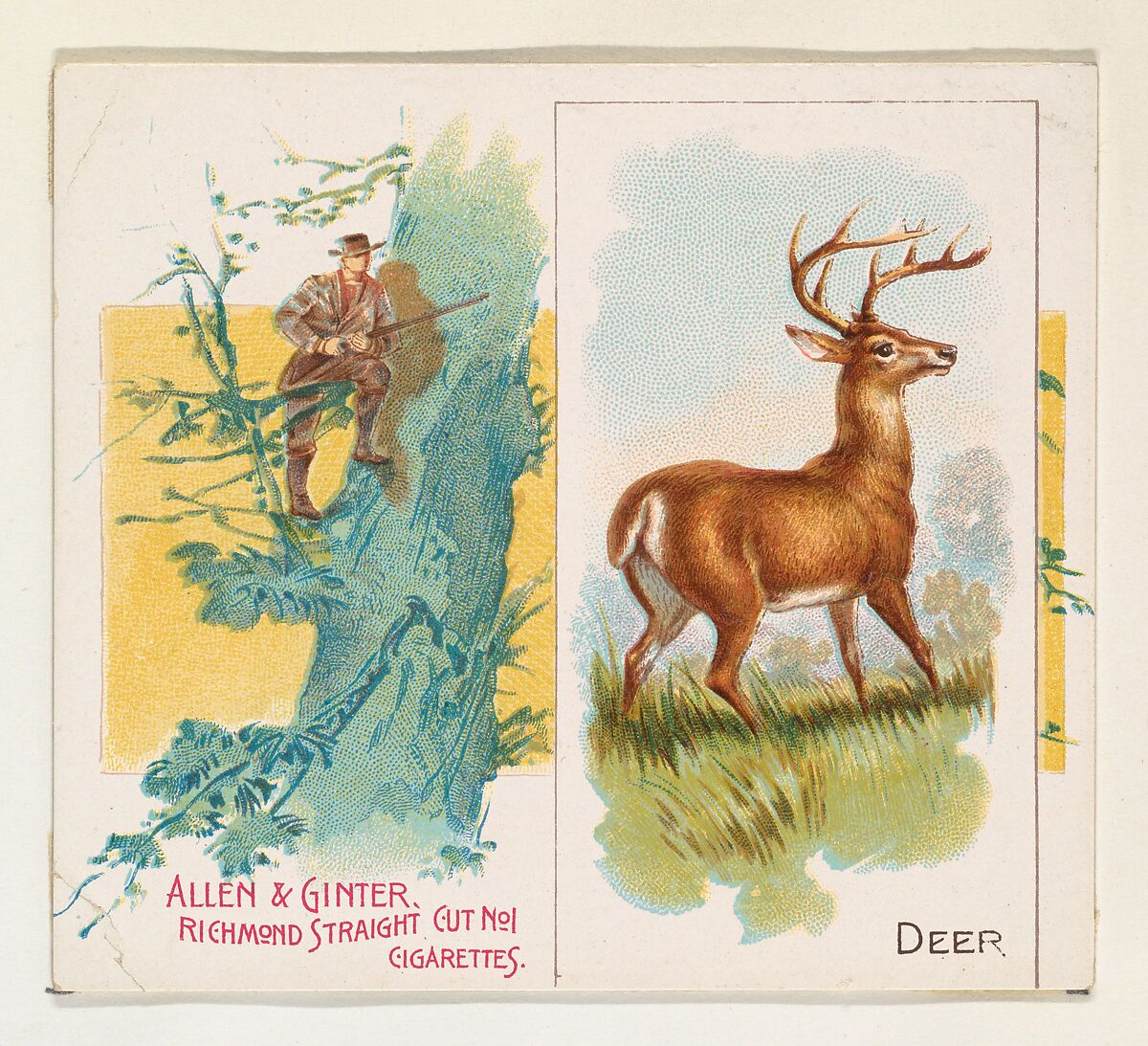 Deer, from Quadrupeds series (N41) for Allen & Ginter Cigarettes, Issued by Allen &amp; Ginter (American, Richmond, Virginia), Commercial color lithograph 