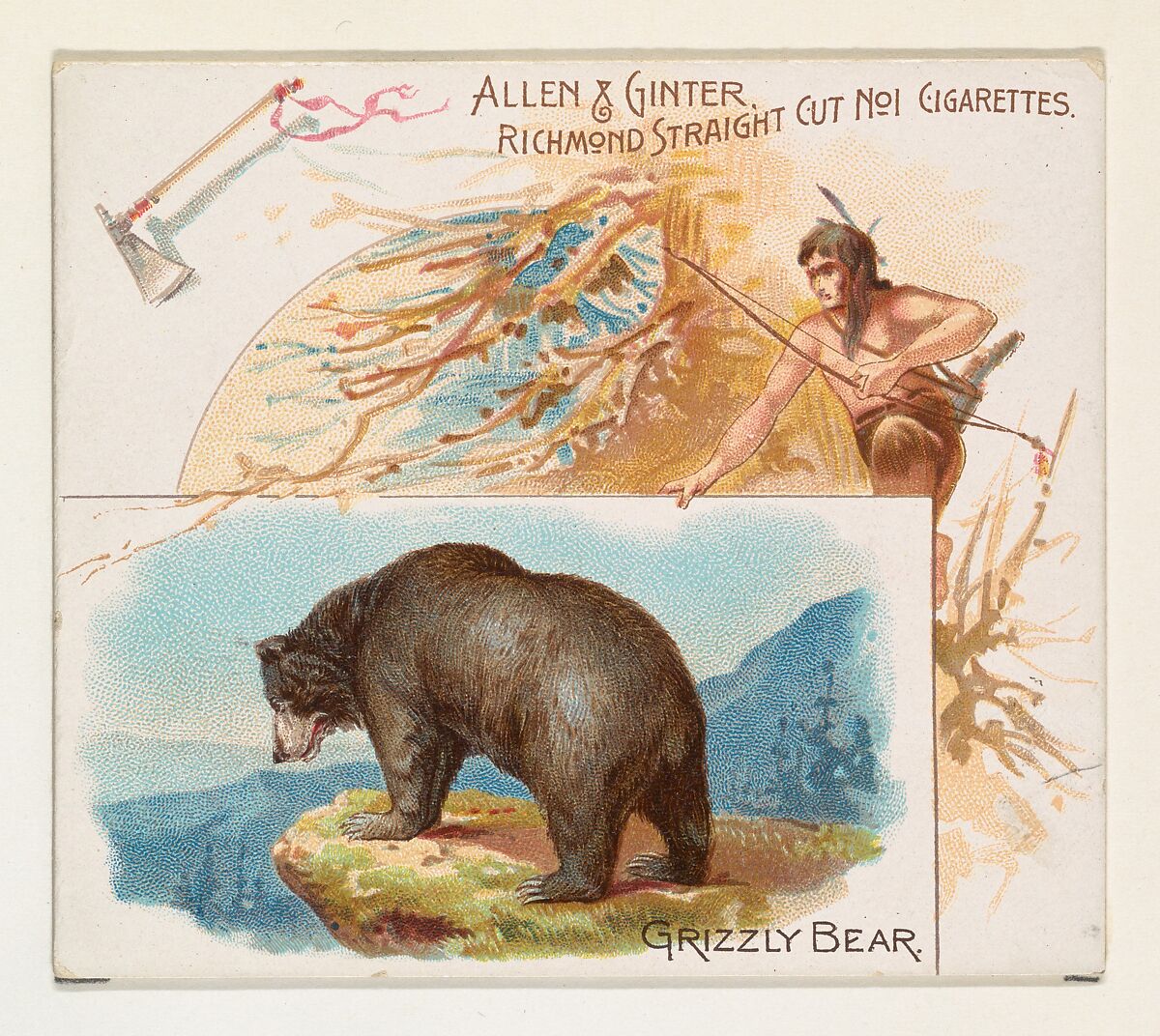 Grizzly Bear, from Quadrupeds series (N41) for Allen & Ginter Cigarettes, Issued by Allen &amp; Ginter (American, Richmond, Virginia), Commercial color lithograph 
