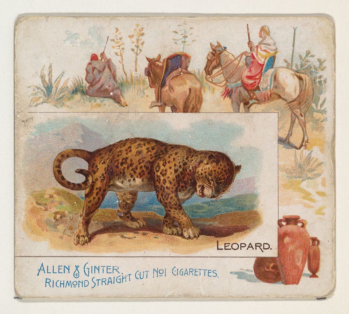 Leopard, from Quadrupeds series (N41) for Allen & Ginter Cigarettes, Issued by Allen &amp; Ginter (American, Richmond, Virginia), Commercial color lithograph 