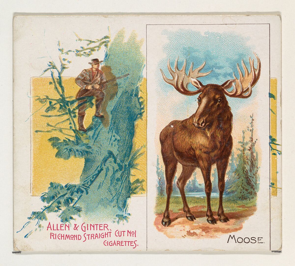 Moose, from Quadrupeds series (N41) for Allen & Ginter Cigarettes, Issued by Allen &amp; Ginter (American, Richmond, Virginia), Commercial color lithograph 
