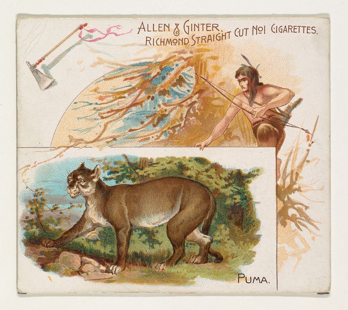 Puma, from Quadrupeds series (N41) for Allen & Ginter Cigarettes, Issued by Allen &amp; Ginter (American, Richmond, Virginia), Commercial color lithograph 