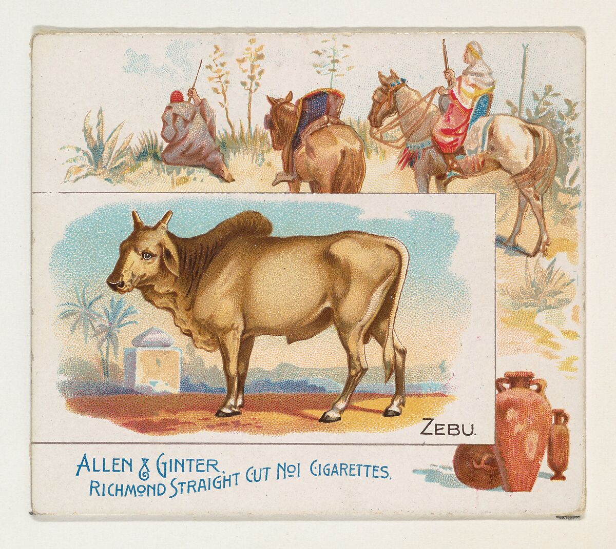 Zebu, from Quadrupeds series (N41) for Allen & Ginter Cigarettes, Issued by Allen &amp; Ginter (American, Richmond, Virginia), Commercial color lithograph 