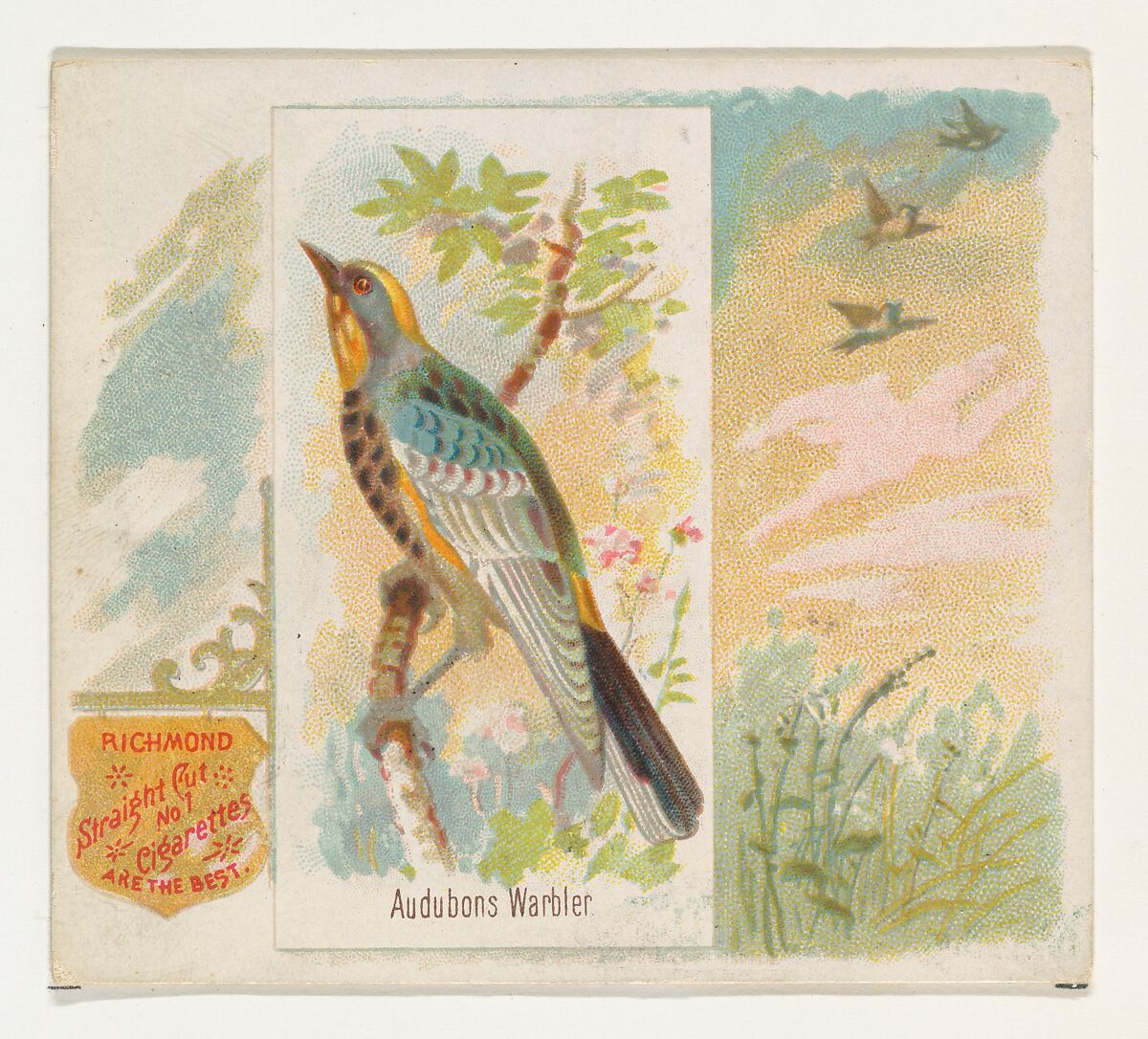 Audobons Warbler, from the Song Birds of the World series (N42) for Allen & Ginter Cigarettes, Issued by Allen &amp; Ginter (American, Richmond, Virginia), Commercial color lithograph 