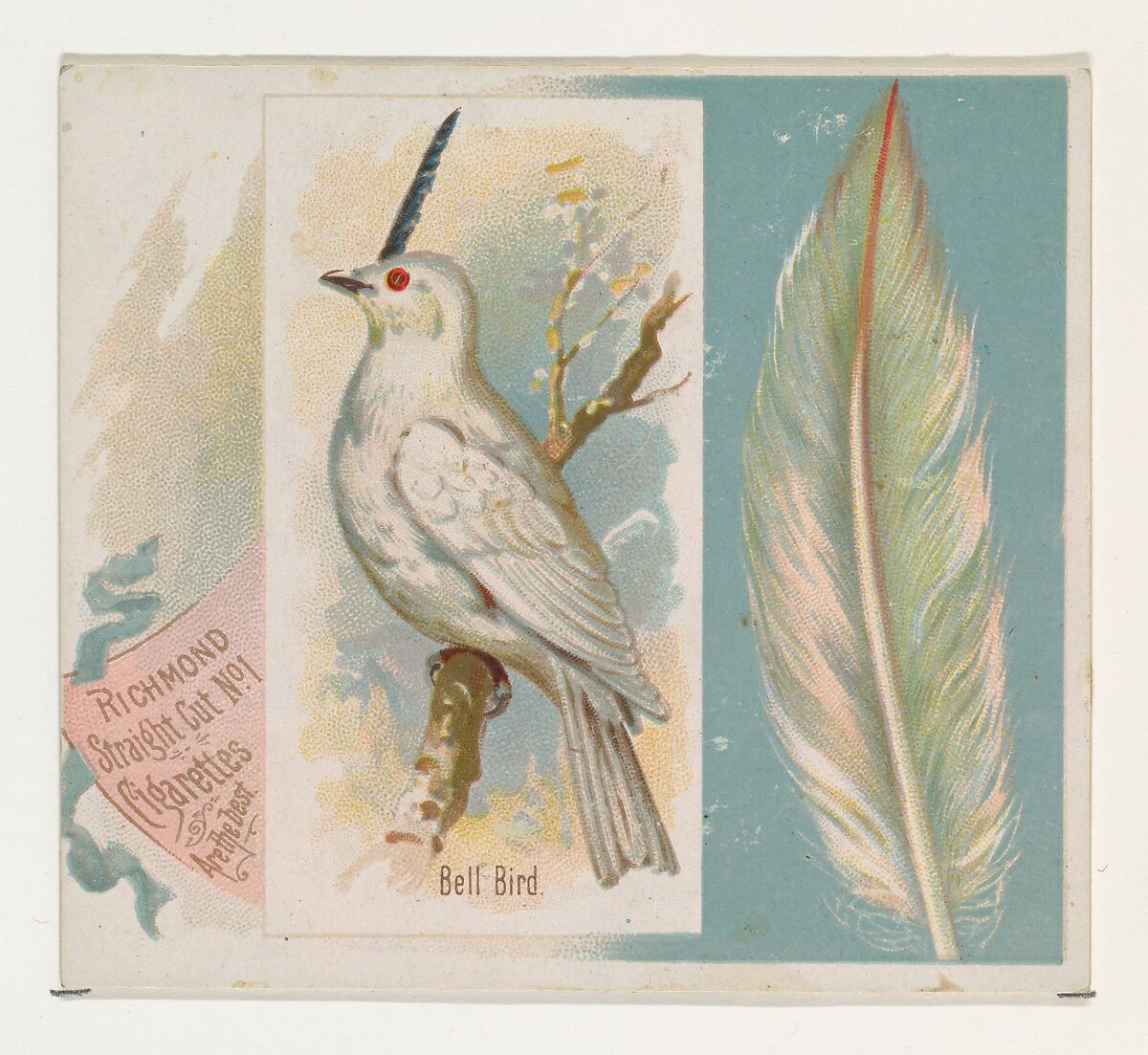 Bell Bird, from the Song Birds of the World series (N42) for Allen & Ginter Cigarettes, Issued by Allen &amp; Ginter (American, Richmond, Virginia), Commercial color lithograph 
