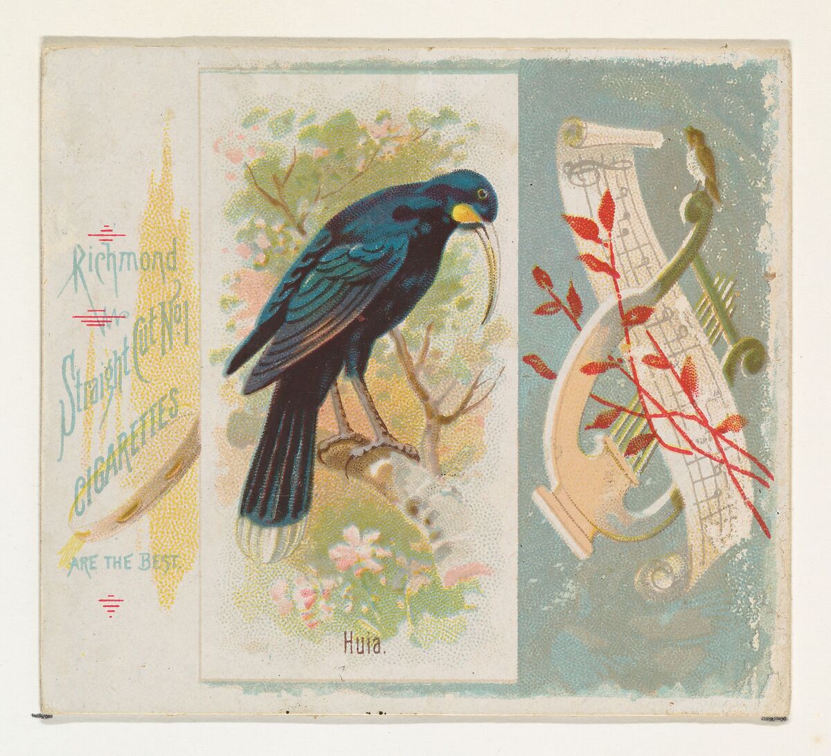 Huia, from the Song Birds of the World series (N42) for Allen & Ginter Cigarettes, Issued by Allen &amp; Ginter (American, Richmond, Virginia), Commercial color lithograph 