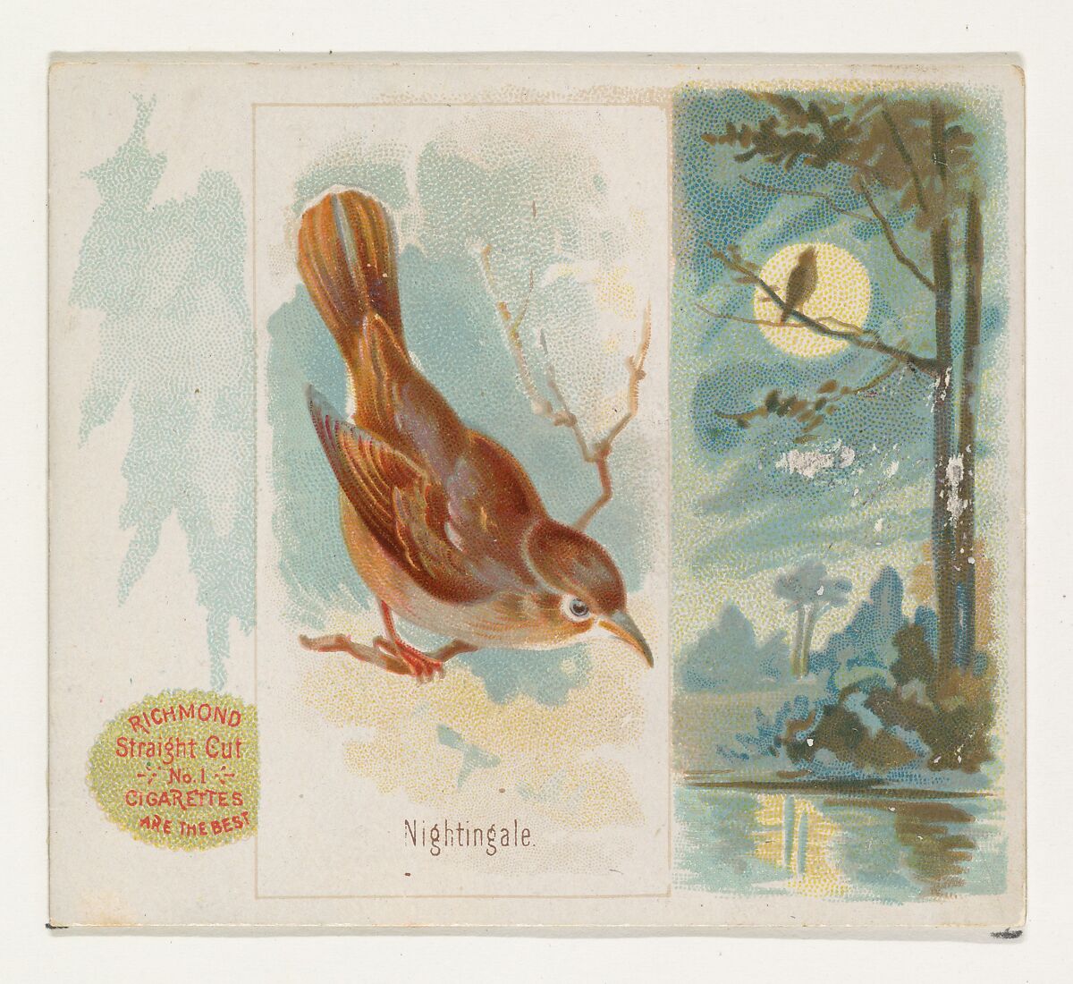 Nightingale, from the Song Birds of the World series (N42) for Allen & Ginter Cigarettes, Issued by Allen &amp; Ginter (American, Richmond, Virginia), Commercial color lithograph 