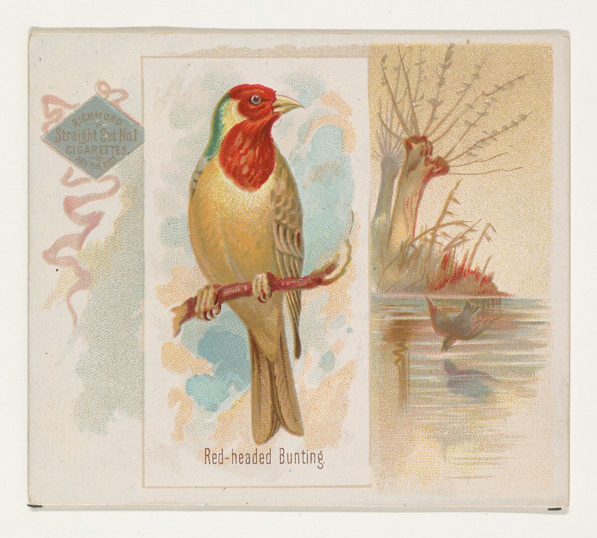 Red-headed Bunting, from the Song Birds of the World series (N42) for Allen & Ginter Cigarettes, Issued by Allen &amp; Ginter (American, Richmond, Virginia), Commercial color lithograph 