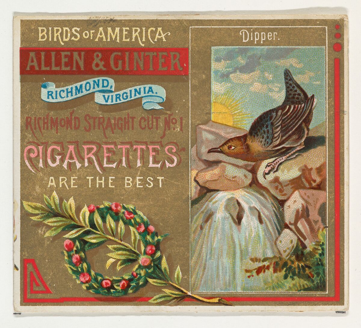 Dipper, from the Birds of America series (N37) for Allen & Ginter Cigarettes, Issued by Allen &amp; Ginter (American, Richmond, Virginia), Commercial color lithograph 
