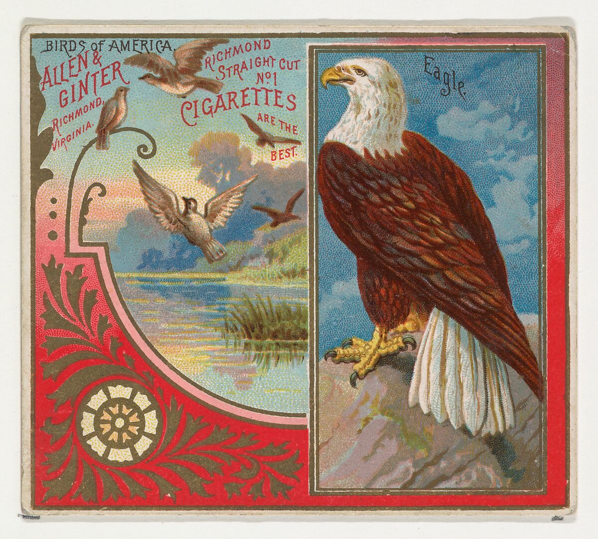 Eagle, from the Birds of America series (N37) for Allen & Ginter Cigarettes, Issued by Allen &amp; Ginter (American, Richmond, Virginia), Commercial color lithograph 