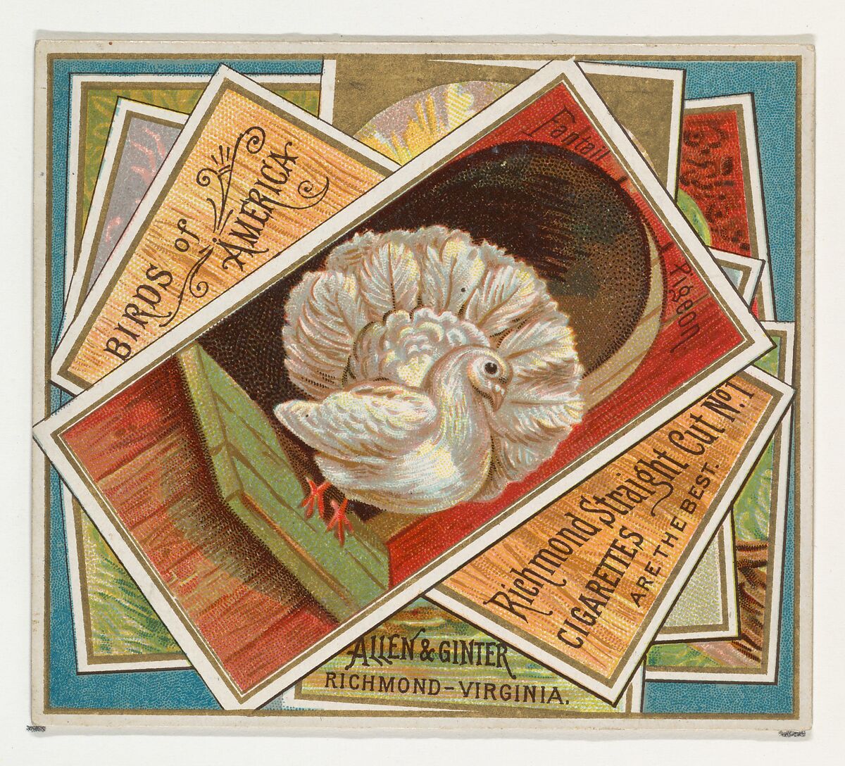 Fantail Pigeon, from the Birds of America series (N37) for Allen & Ginter Cigarettes, Issued by Allen &amp; Ginter (American, Richmond, Virginia), Commercial color lithograph 