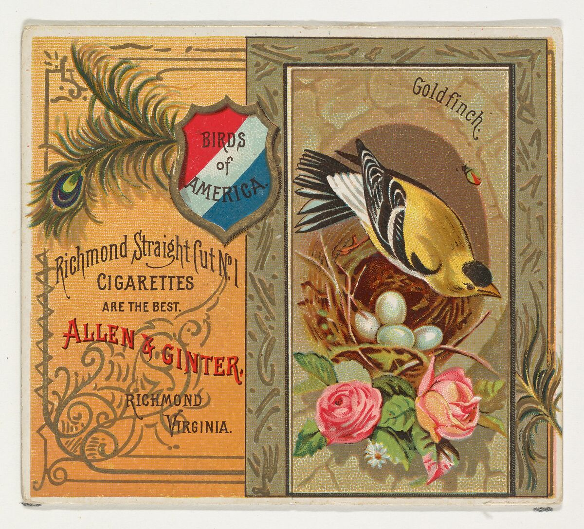 Goldfinch, from the Birds of America series (N37) for Allen & Ginter Cigarettes, Issued by Allen &amp; Ginter (American, Richmond, Virginia), Commercial color lithograph 