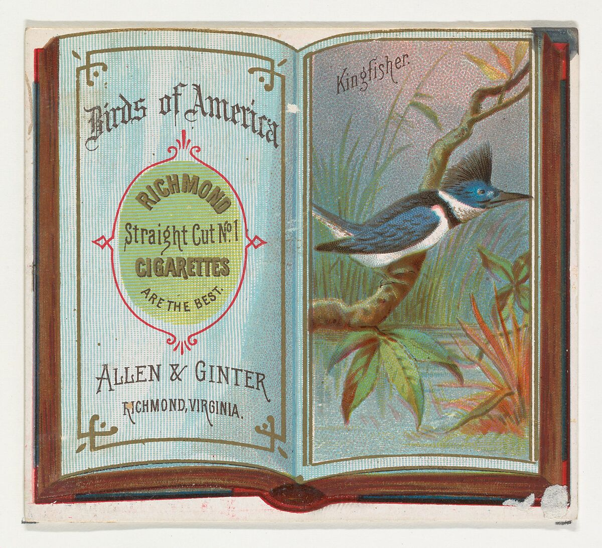 Kingfisher, from the Birds of America series (N37) for Allen & Ginter Cigarettes, Issued by Allen &amp; Ginter (American, Richmond, Virginia), Commercial color lithograph 