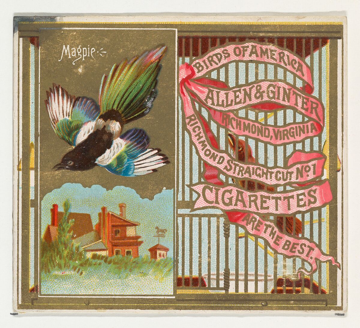 Magpie, from the Birds of America series (N37) for Allen & Ginter Cigarettes, Issued by Allen &amp; Ginter (American, Richmond, Virginia), Commercial color lithograph 
