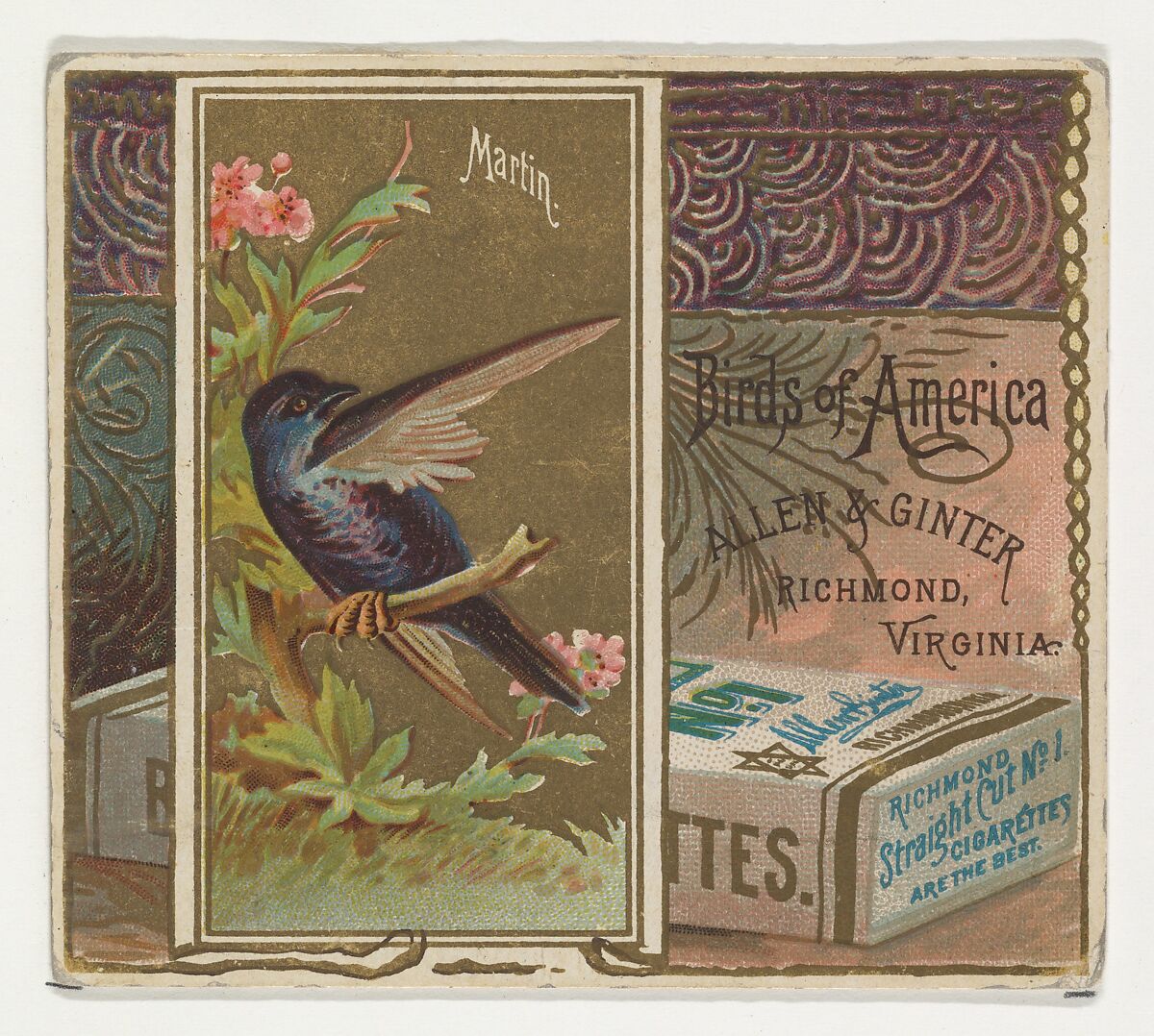 Martin, from the Birds of America series (N37) for Allen & Ginter Cigarettes, Issued by Allen &amp; Ginter (American, Richmond, Virginia), Commercial color lithograph 