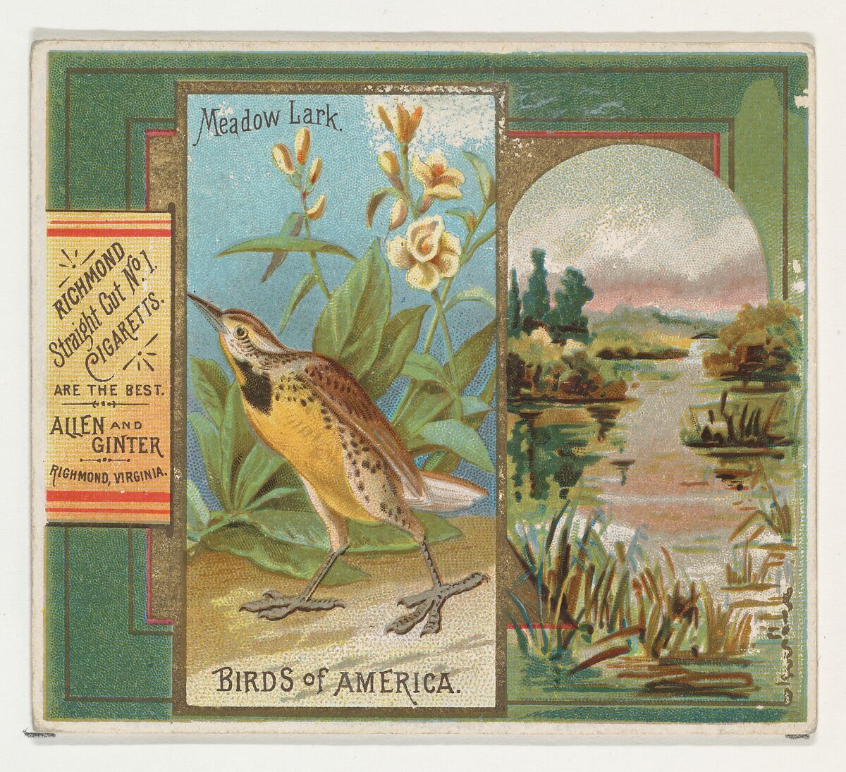 Meadow Lark, from the Birds of America series (N37) for Allen & Ginter Cigarettes, Issued by Allen &amp; Ginter (American, Richmond, Virginia), Commercial color lithograph 