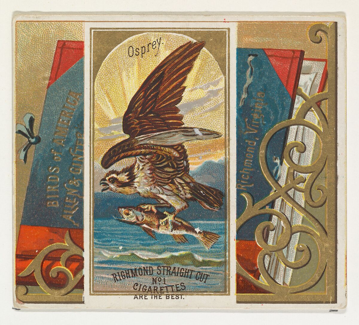 Osprey, from the Birds of America series (N37) for Allen & Ginter Cigarettes, Issued by Allen &amp; Ginter (American, Richmond, Virginia), Commercial color lithograph 