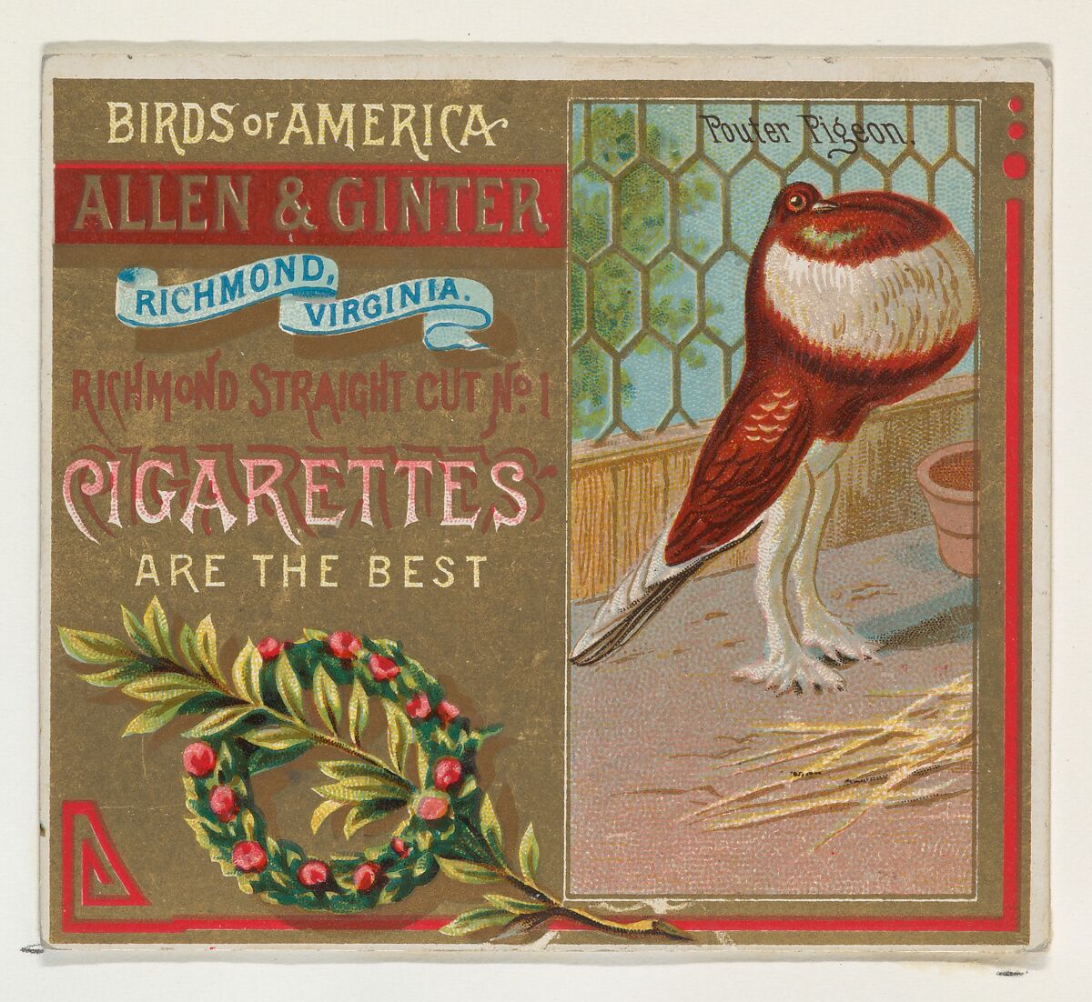 Pouter Pigeon, from the Birds of America series (N37) for Allen & Ginter Cigarettes, Issued by Allen &amp; Ginter (American, Richmond, Virginia), Commercial color lithograph 