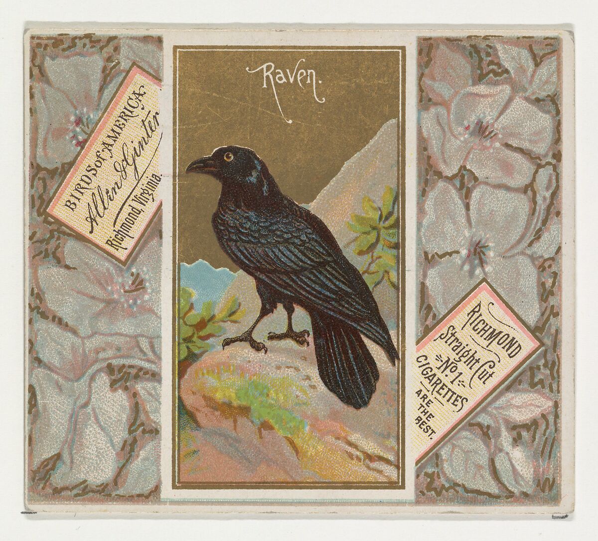 Raven, from the Birds of America series (N37) for Allen & Ginter Cigarettes, Issued by Allen &amp; Ginter (American, Richmond, Virginia), Commercial color lithograph 