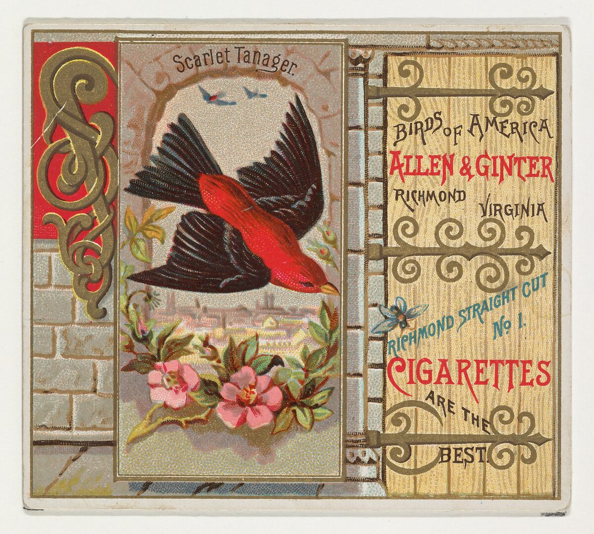 Scarlet Tanager, from the Birds of America series (N37) for Allen & Ginter Cigarettes, Issued by Allen &amp; Ginter (American, Richmond, Virginia), Commercial color lithograph 