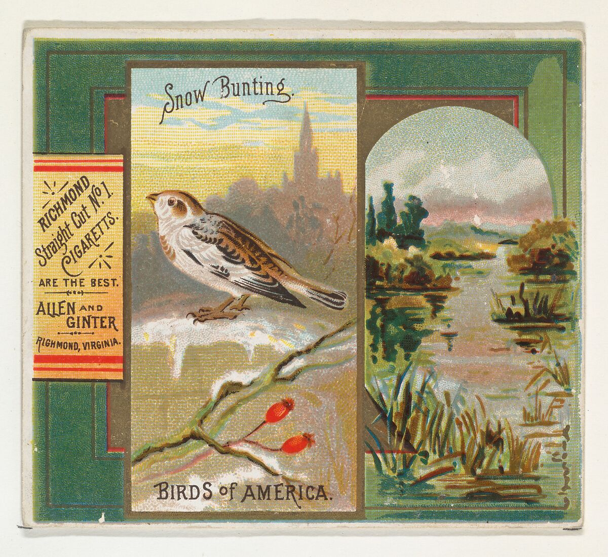 Snow Bunting, from the Birds of America series (N37) for Allen & Ginter Cigarettes, Issued by Allen &amp; Ginter (American, Richmond, Virginia), Commercial color lithograph 