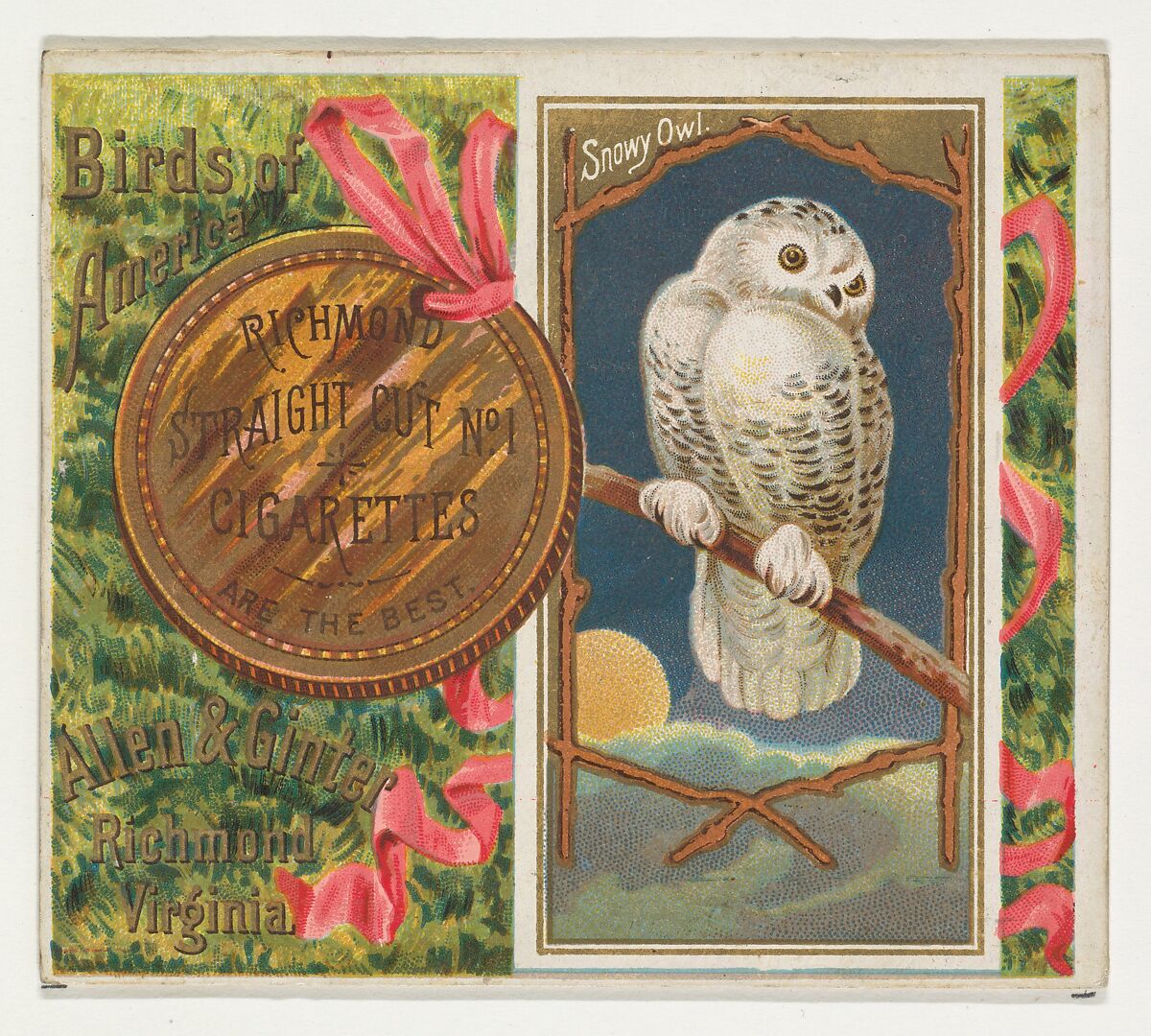 Snowy Owl, from the Birds of America series (N37) for Allen & Ginter Cigarettes, Issued by Allen &amp; Ginter (American, Richmond, Virginia), Commercial color lithograph 