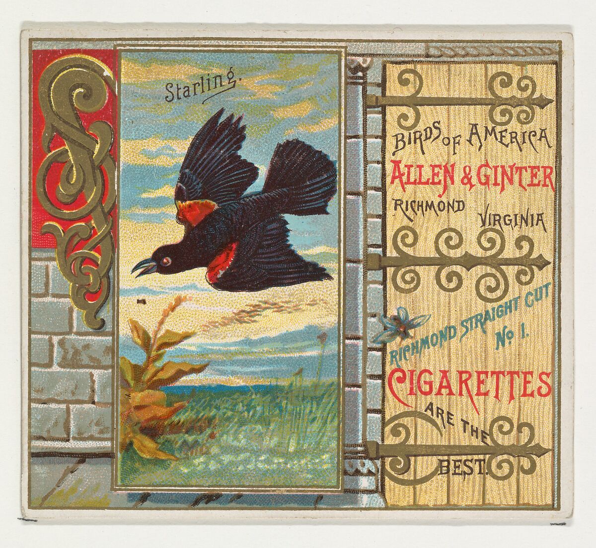 Starling, from the Birds of America series (N37) for Allen & Ginter Cigarettes, Issued by Allen &amp; Ginter (American, Richmond, Virginia), Commercial color lithograph 