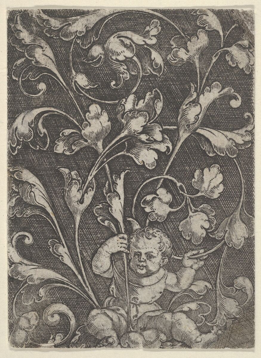 Vertical Panel with Tendrils Supported by a Seated Child, Heinrich Aldegrever (German, Paderborn ca. 1502–1555/1561 Soest), Engraving 