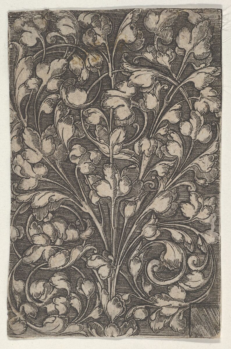 Vertical Panel with Scrolling Tendrils Rising from Center, Attributed to Heinrich Aldegrever (German, Paderborn ca. 1502–1555/1561 Soest), Engraving 