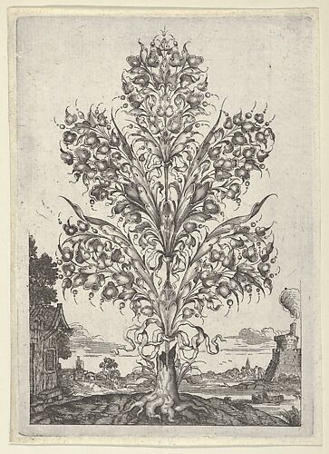 Goldsmith's Bouquet, from 