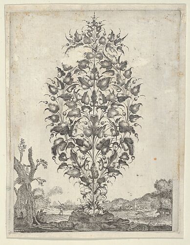 Goldsmith's Bouquet, from 