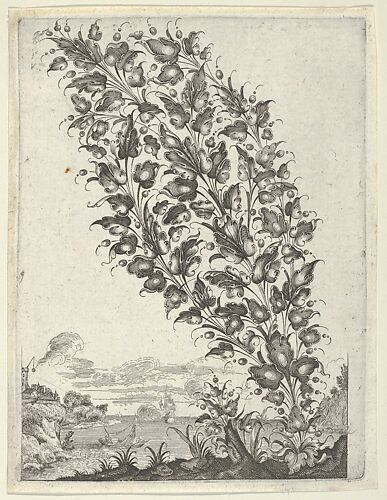 Goldsmith's Bouquet, from 