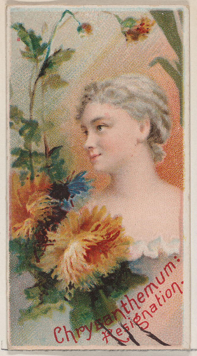 Chrysanthemum: Resignation, from the series Floral Beauties and Language of Flowers (N75) for Duke brand cigarettes, Issued by Duke Cigarette branch of the American Tobacco Company, Commercial color lithograph 