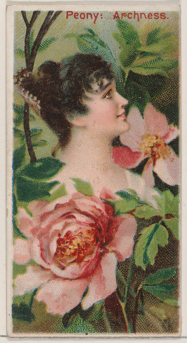 Peony: Archness, from the series Floral Beauties and Language of Flowers (N75) for Duke brand cigarettes, Issued by Duke Cigarette branch of the American Tobacco Company, Commercial color lithograph 