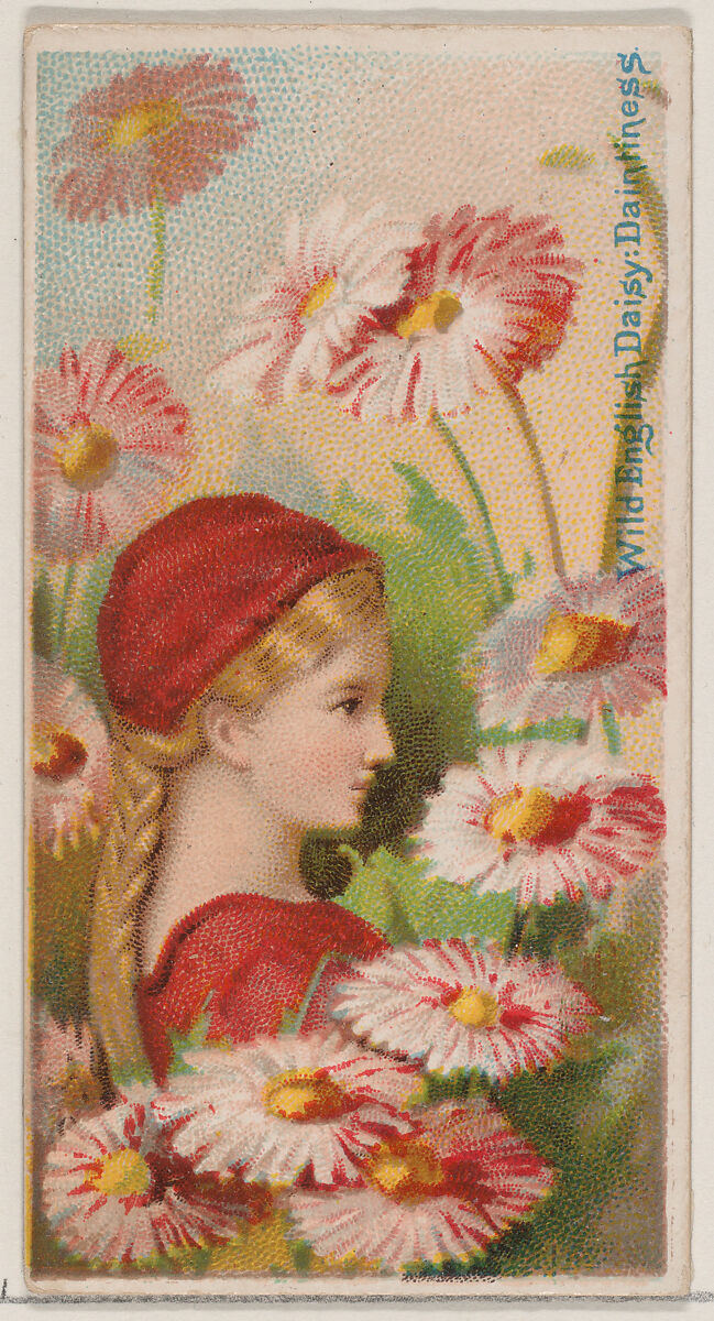 Wild English Daisy: Daintiness, from the series Floral Beauties and Language of Flowers (N75) for Duke brand cigarettes, Issued by Duke Cigarette branch of the American Tobacco Company, Commercial color lithograph 