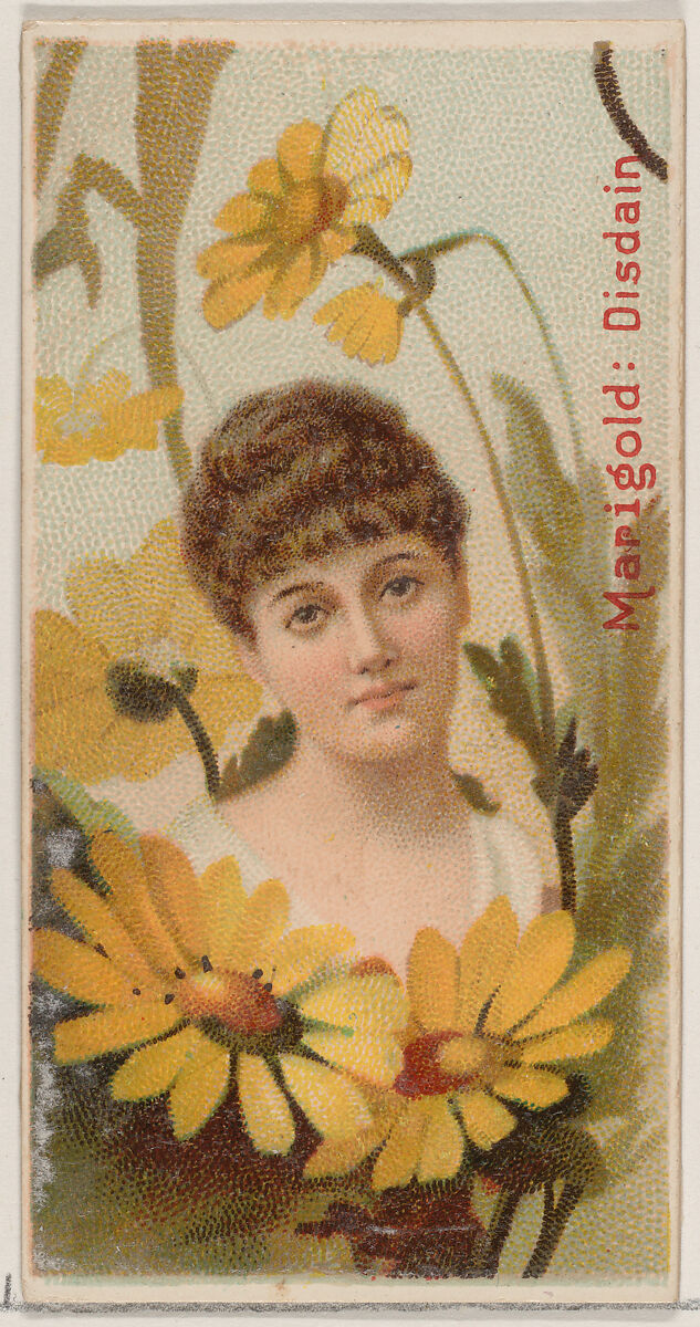 Marigold: Disdain, from the series Floral Beauties and Language of Flowers (N75) for Duke brand cigarettes, Issued by Duke Cigarette branch of the American Tobacco Company, Commercial color lithograph 