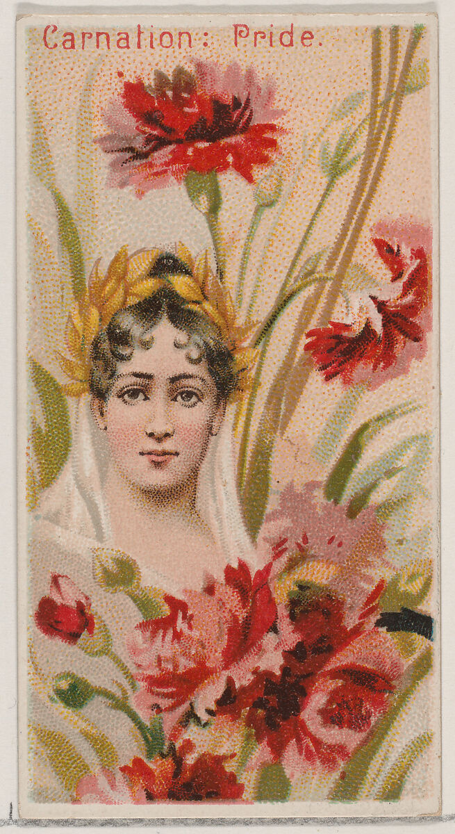 Carnation: Pride, from the series Floral Beauties and Language of Flowers (N75) for Duke brand cigarettes, Issued by Duke Cigarette branch of the American Tobacco Company, Commercial color lithograph 