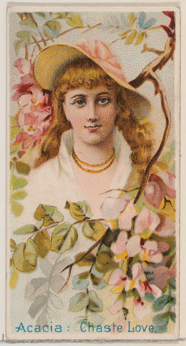 Acacia: Chaste Love, from the series Floral Beauties and Language of Flowers (N75) for Duke brand cigarettes, Issued by Duke Cigarette branch of the American Tobacco Company, Commercial color lithograph 