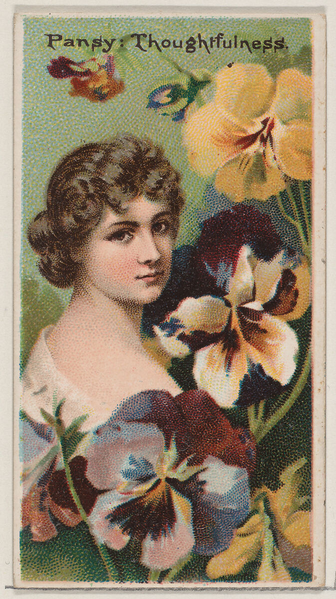 Pansy: Thoughtfulness, from the series Floral Beauties and Language of Flowers (N75) for Duke brand cigarettes, Issued by Duke Cigarette branch of the American Tobacco Company, Commercial color lithograph 