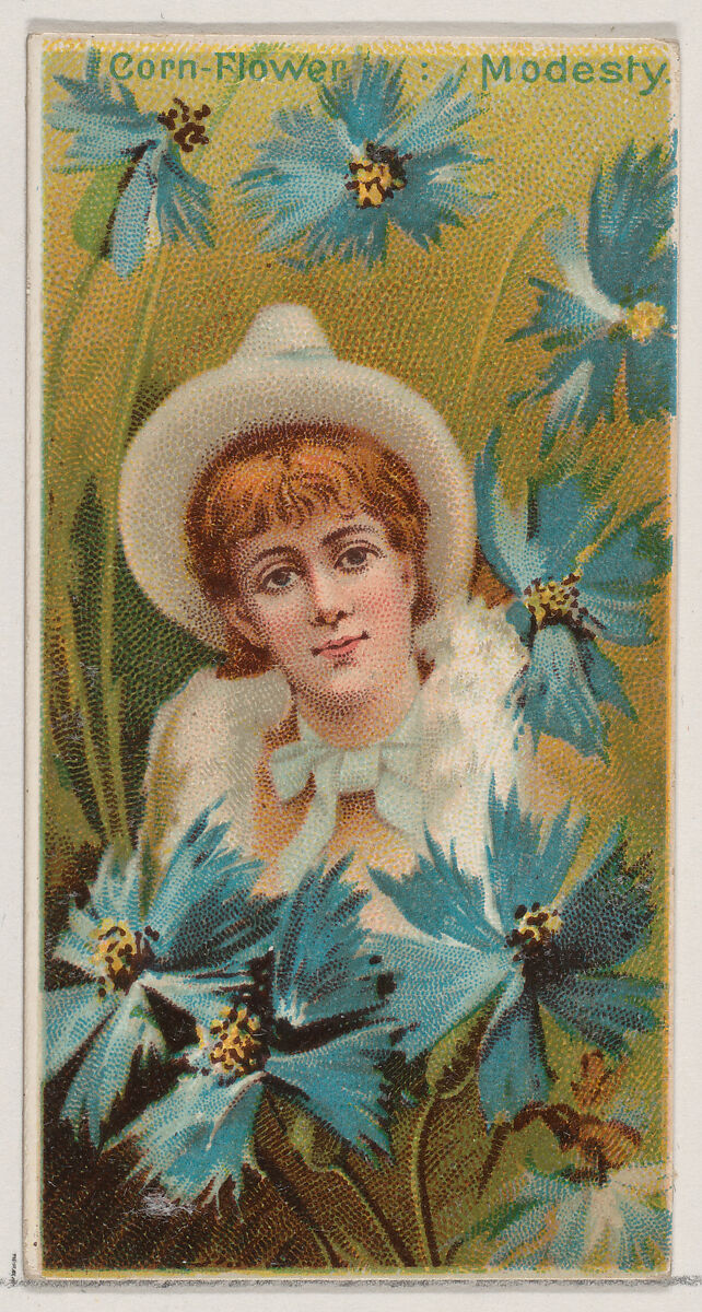 Cornflower: Modesty, from the series Floral Beauties and Language of Flowers (N75) for Duke brand cigarettes, Issued by Duke Cigarette branch of the American Tobacco Company, Commercial color lithograph 