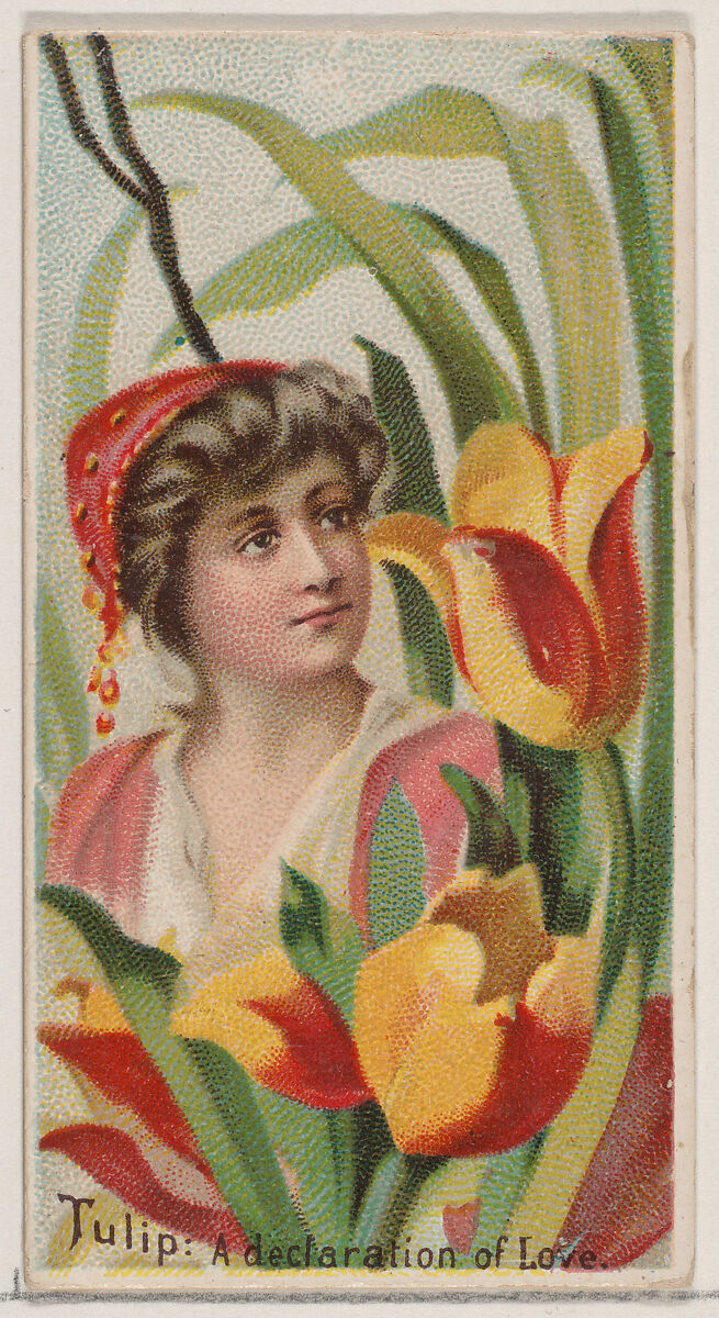 Tulip: A Declaration of Love, from the series Floral Beauties and Language of Flowers (N75) for Duke brand cigarettes, Issued by Duke Cigarette branch of the American Tobacco Company, Commercial color lithograph 
