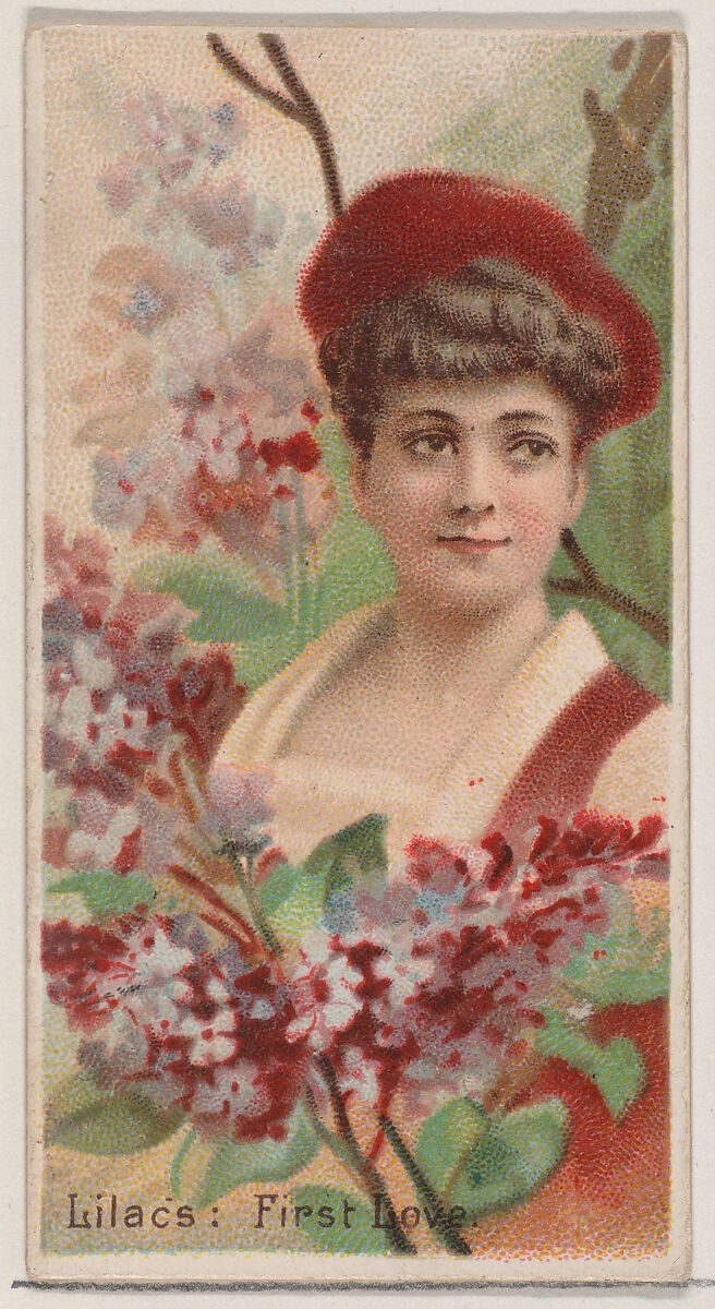 Lilacs: First Love, from the series Floral Beauties and Language of Flowers (N75) for Duke brand cigarettes, Issued by Duke Cigarette branch of the American Tobacco Company, Commercial color lithograph 