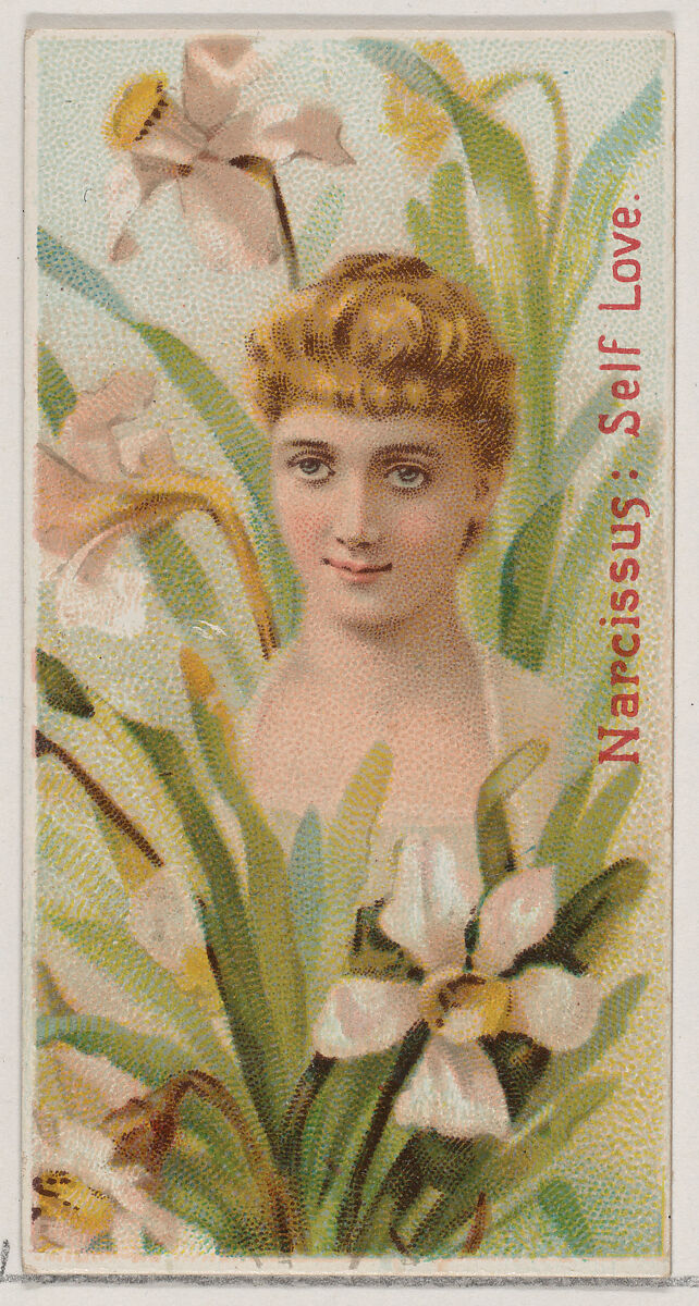Narcissus: Self Love, from the series Floral Beauties and Language of Flowers (N75) for Duke brand cigarettes, Issued by Duke Cigarette branch of the American Tobacco Company, Commercial color lithograph 