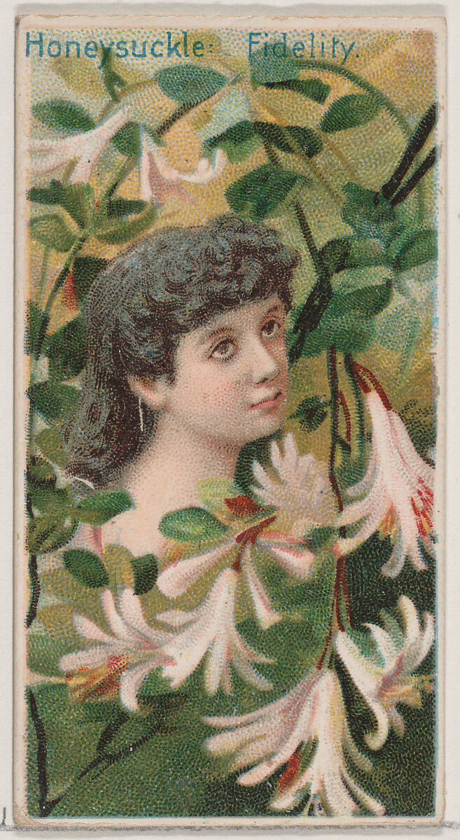 Honeysuckle: Fidelity, from the series Floral Beauties and Language of Flowers (N75) for Duke brand cigarettes, Issued by Duke Cigarette branch of the American Tobacco Company, Commercial color lithograph 